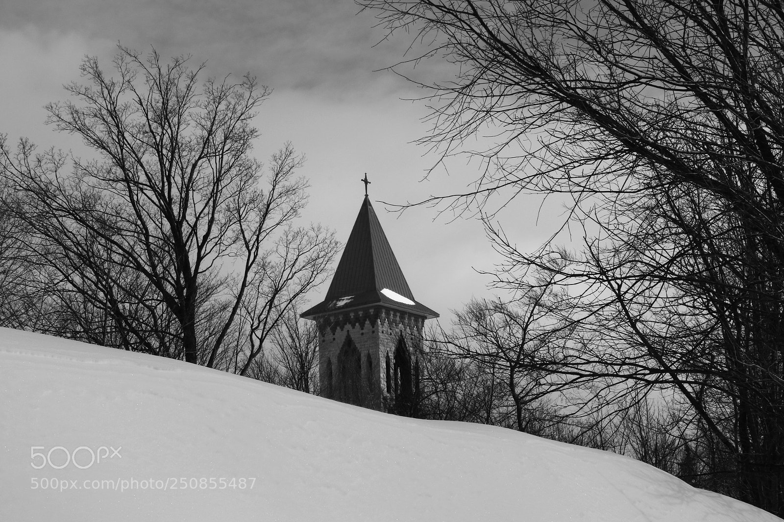 Canon EOS 70D sample photo. A steeple photography