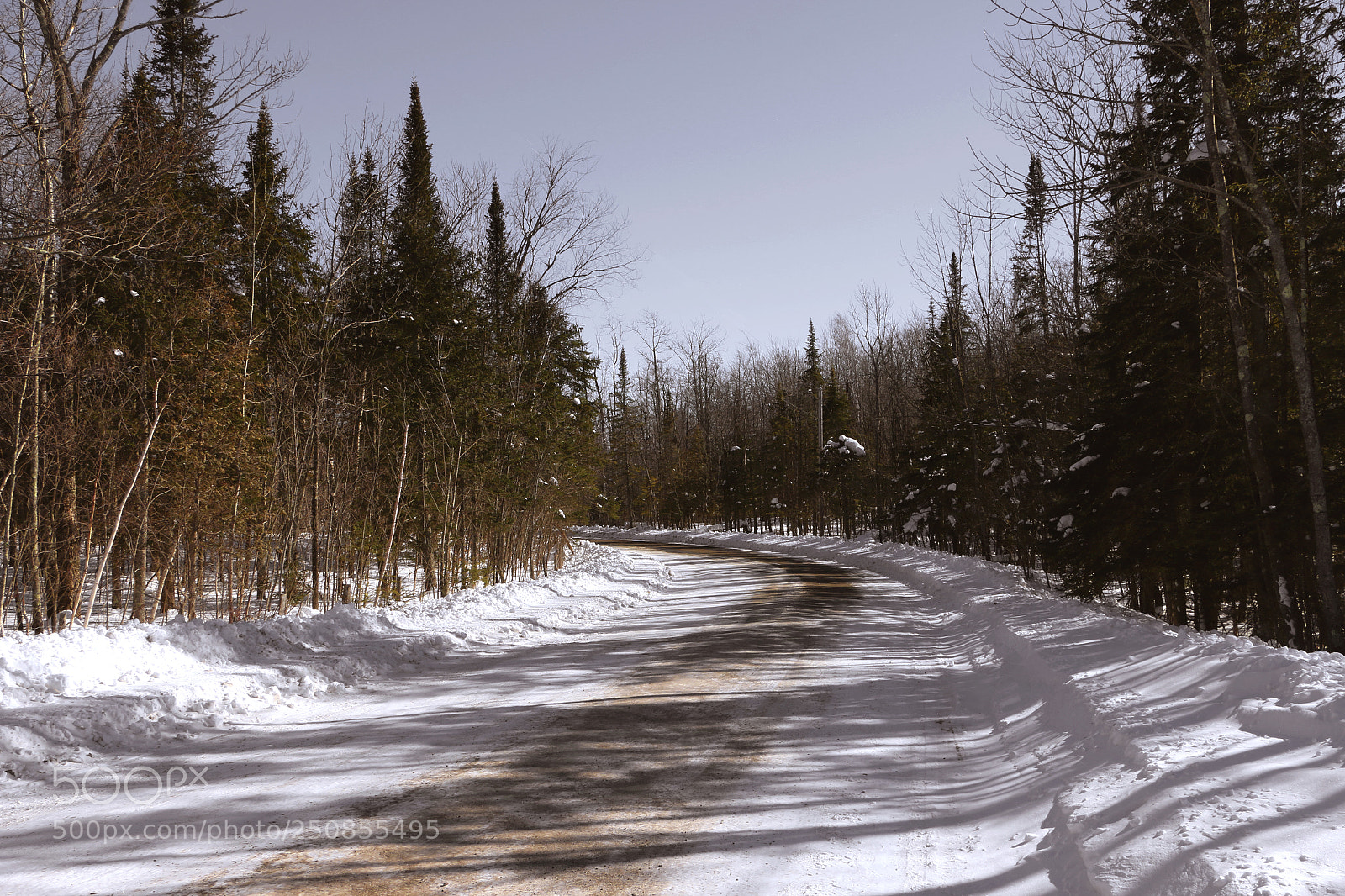 Canon EOS 70D sample photo. The path photography