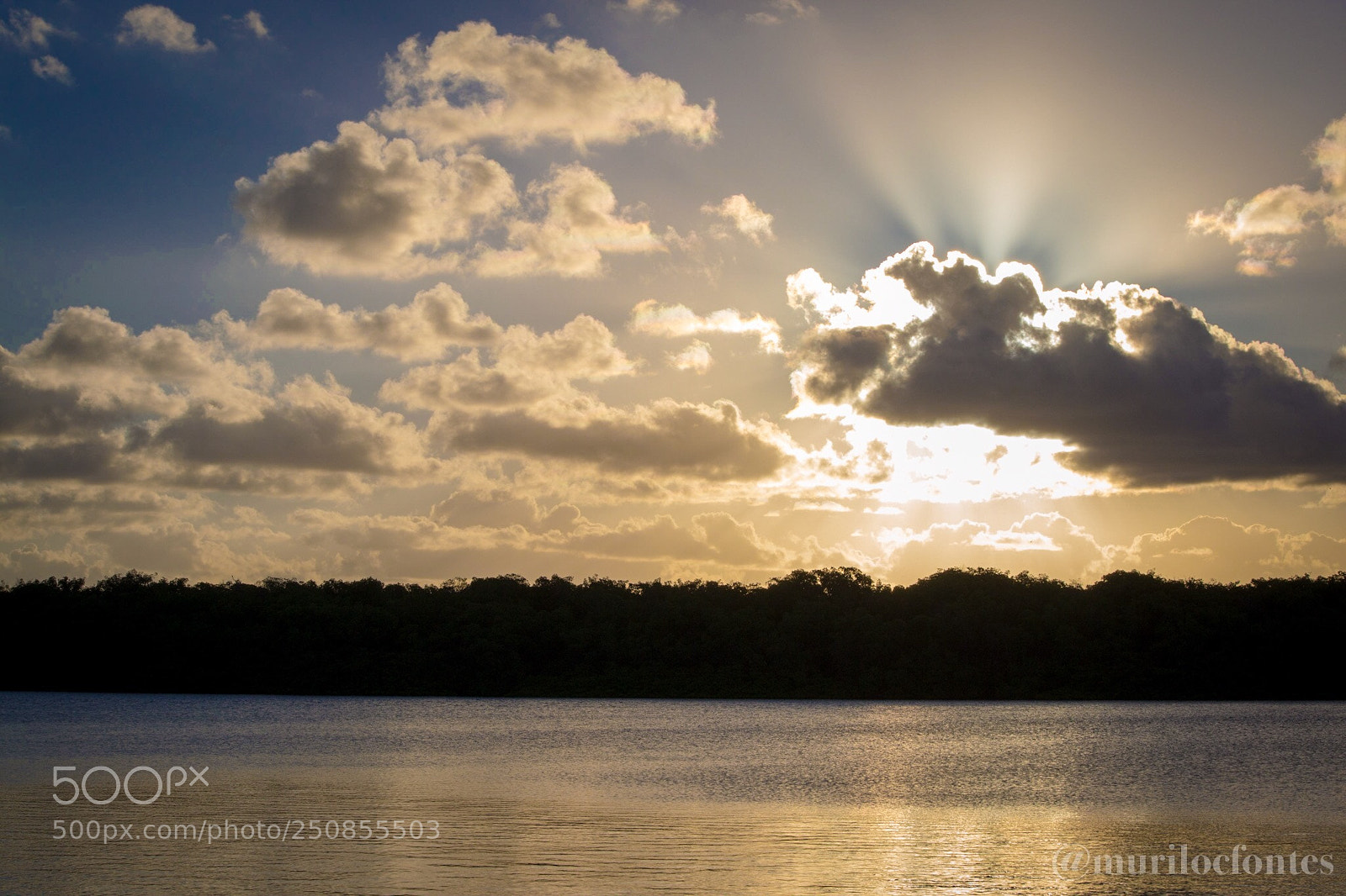 Nikon D3100 sample photo. Untitled photography