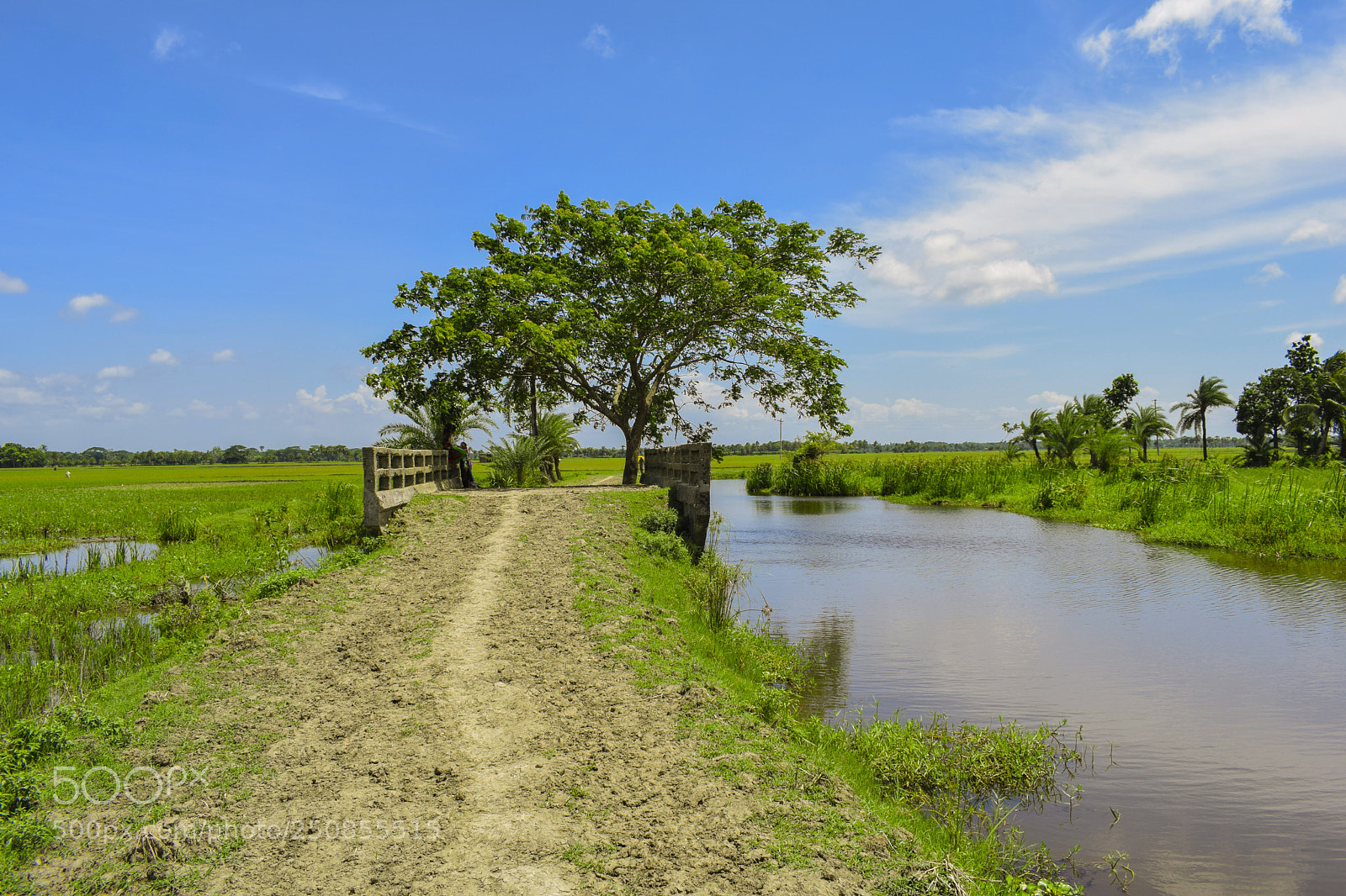 Nikon D3300 sample photo. Nature photography