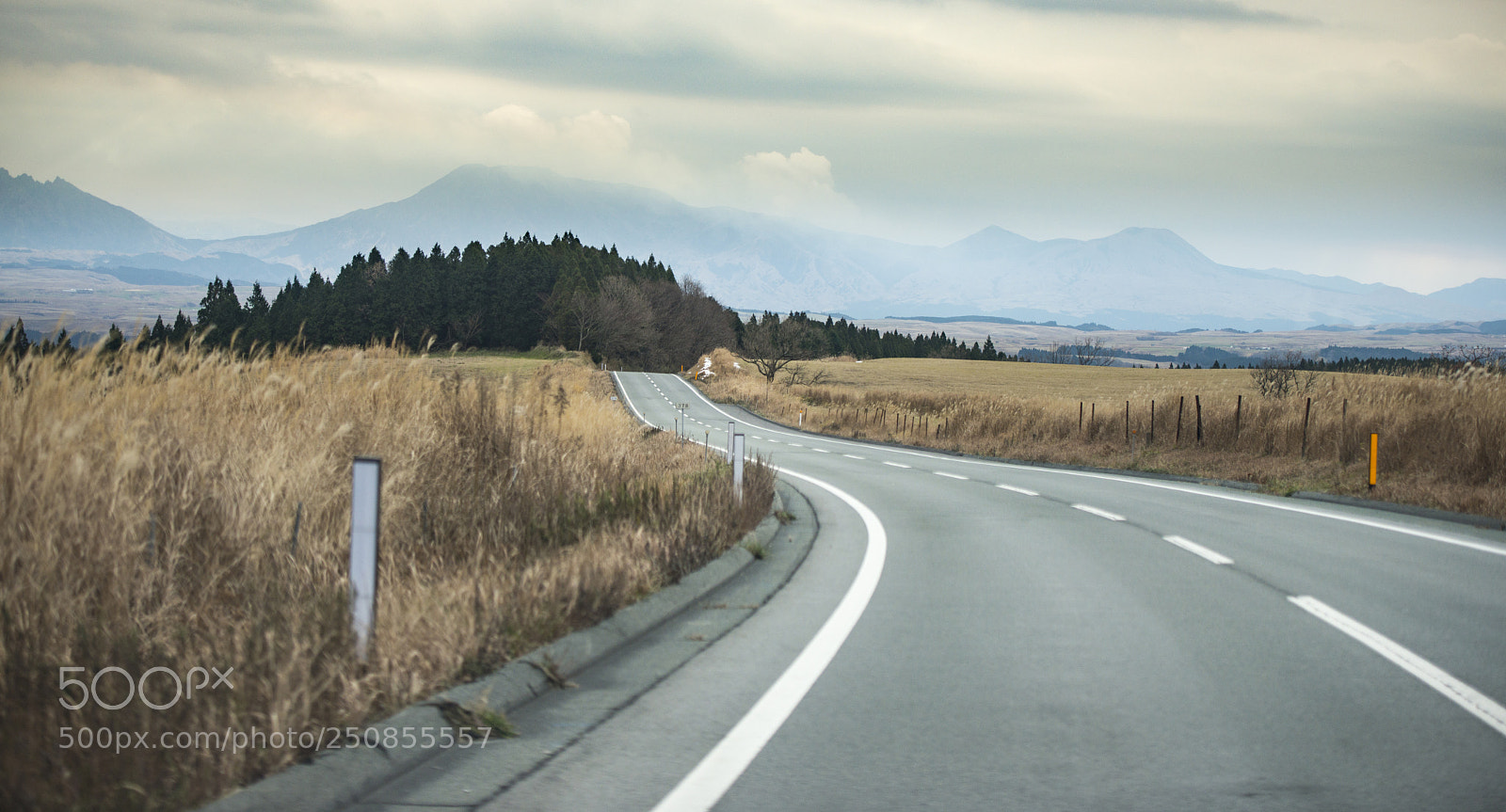 Nikon D800 sample photo. Road to laputa. kumamoto photography
