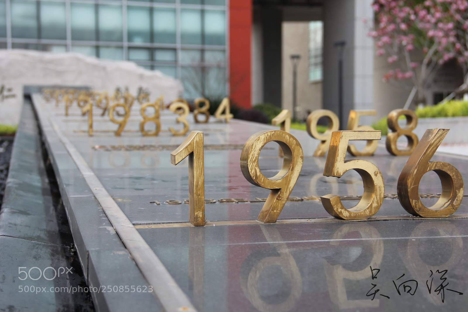 Canon EOS 60D sample photo. 上海中医药大学春景 photography