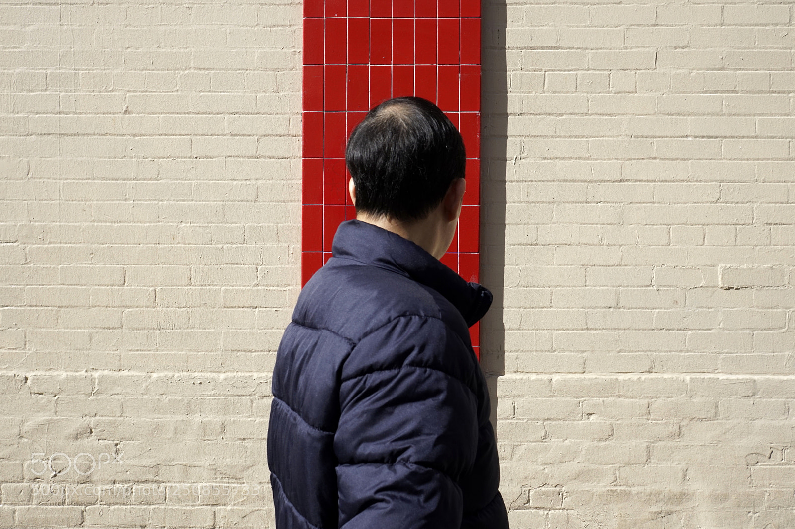 Sony a6300 sample photo. _dsc9671 photography