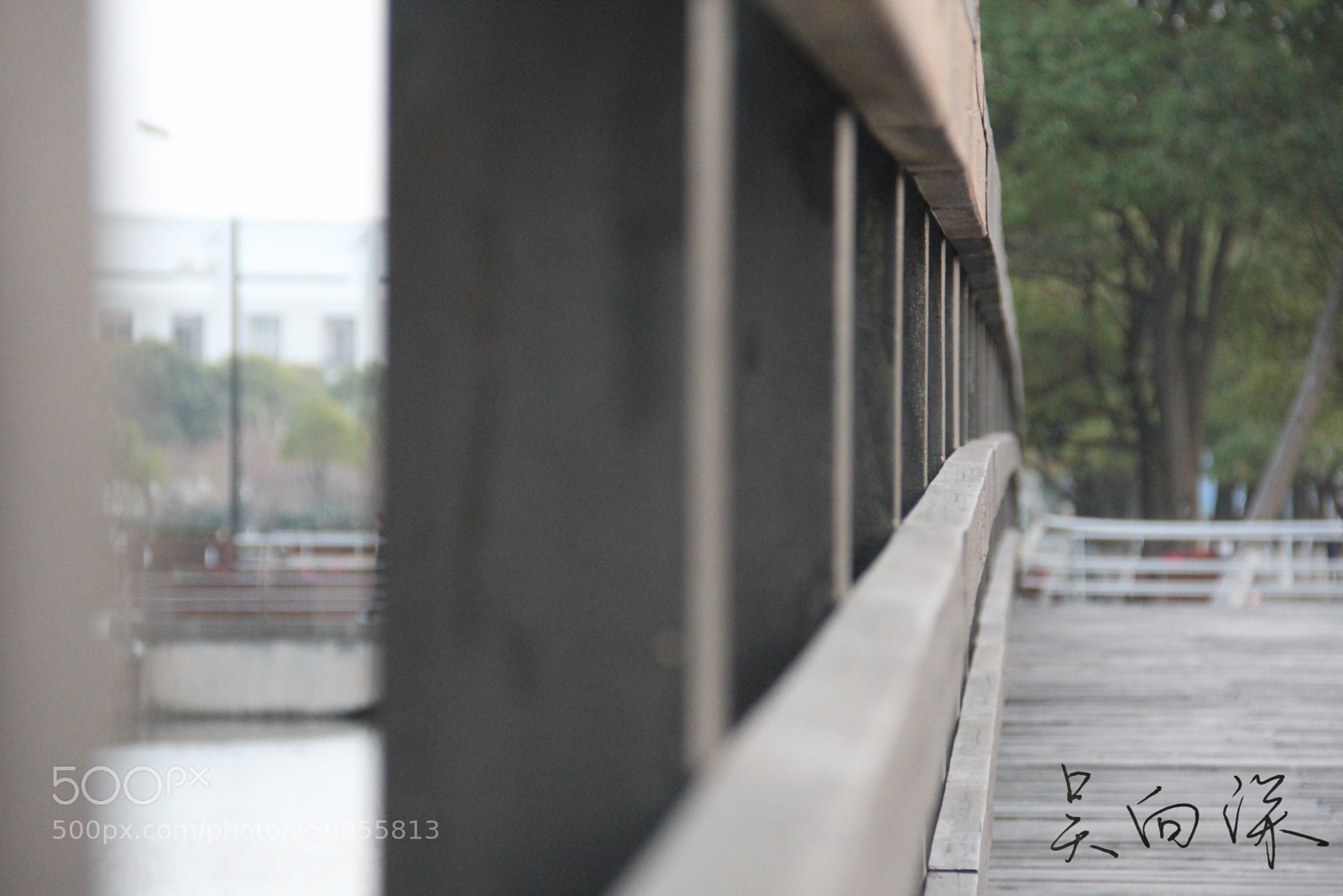 Canon EOS 60D sample photo. 上海中医药大学春景 photography