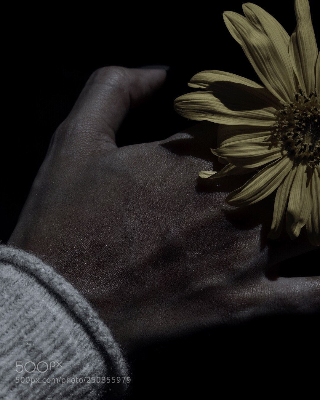 Nikon D5200 sample photo. Untitled photography