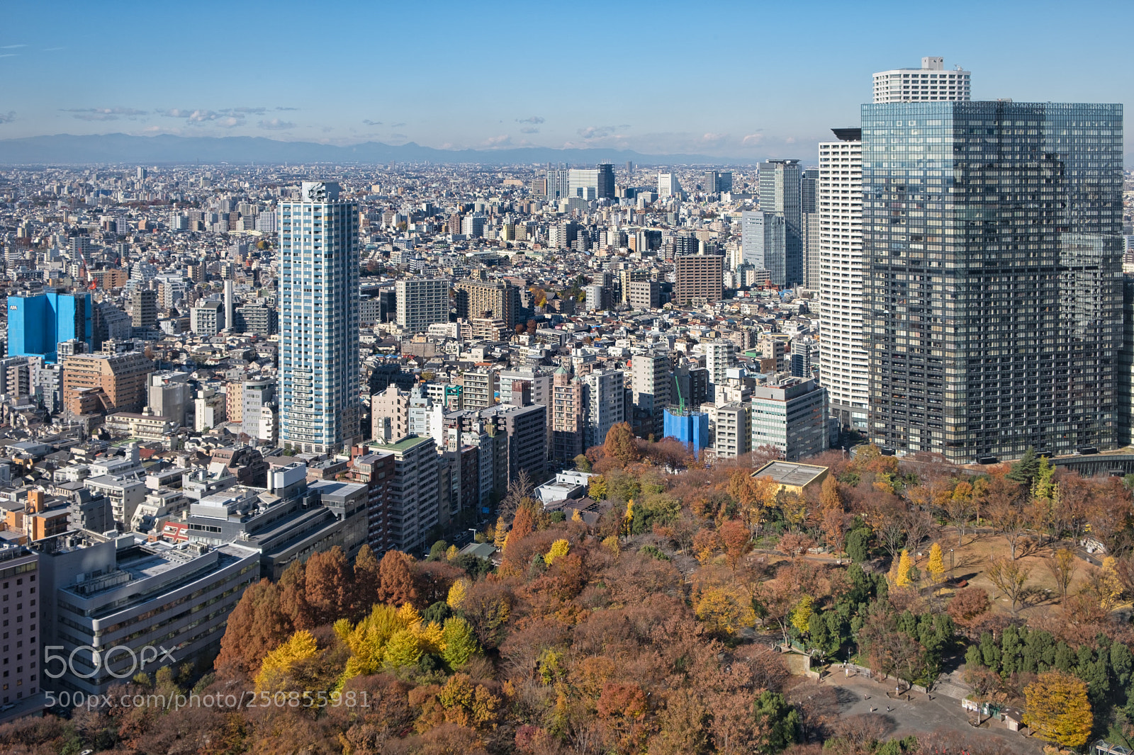 Fujifilm X-T20 sample photo. Shinjuku, autumn photography