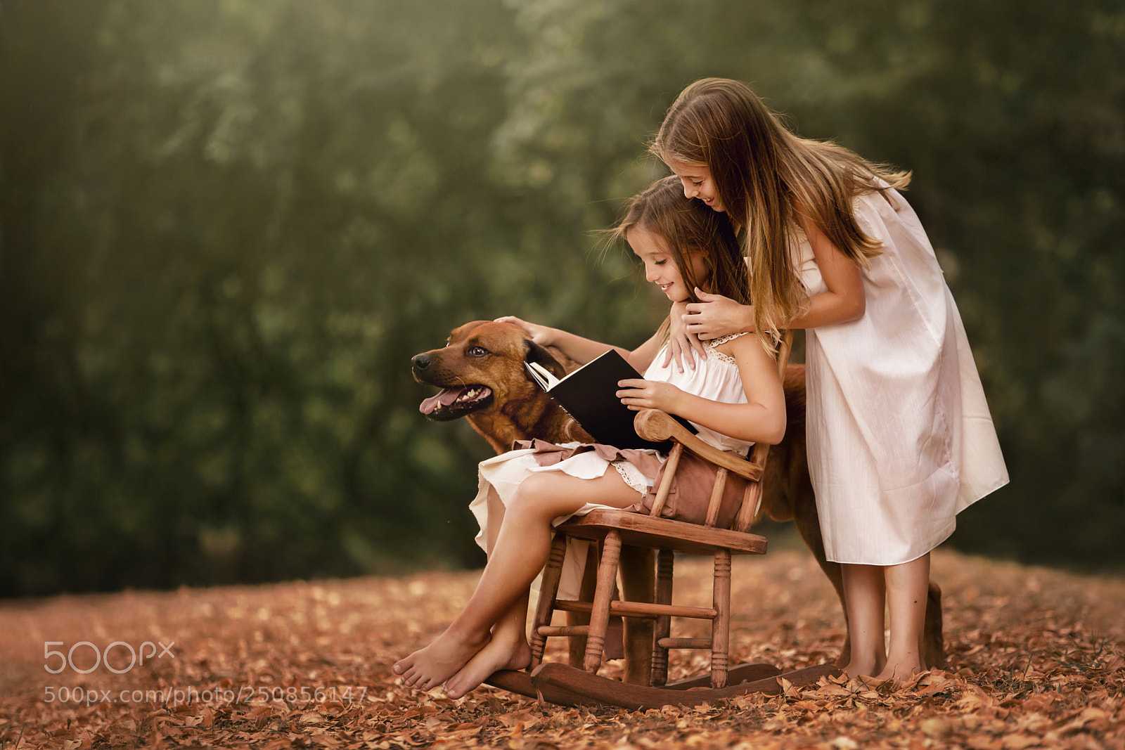 Canon EOS 5DS R sample photo. Hermandad photography