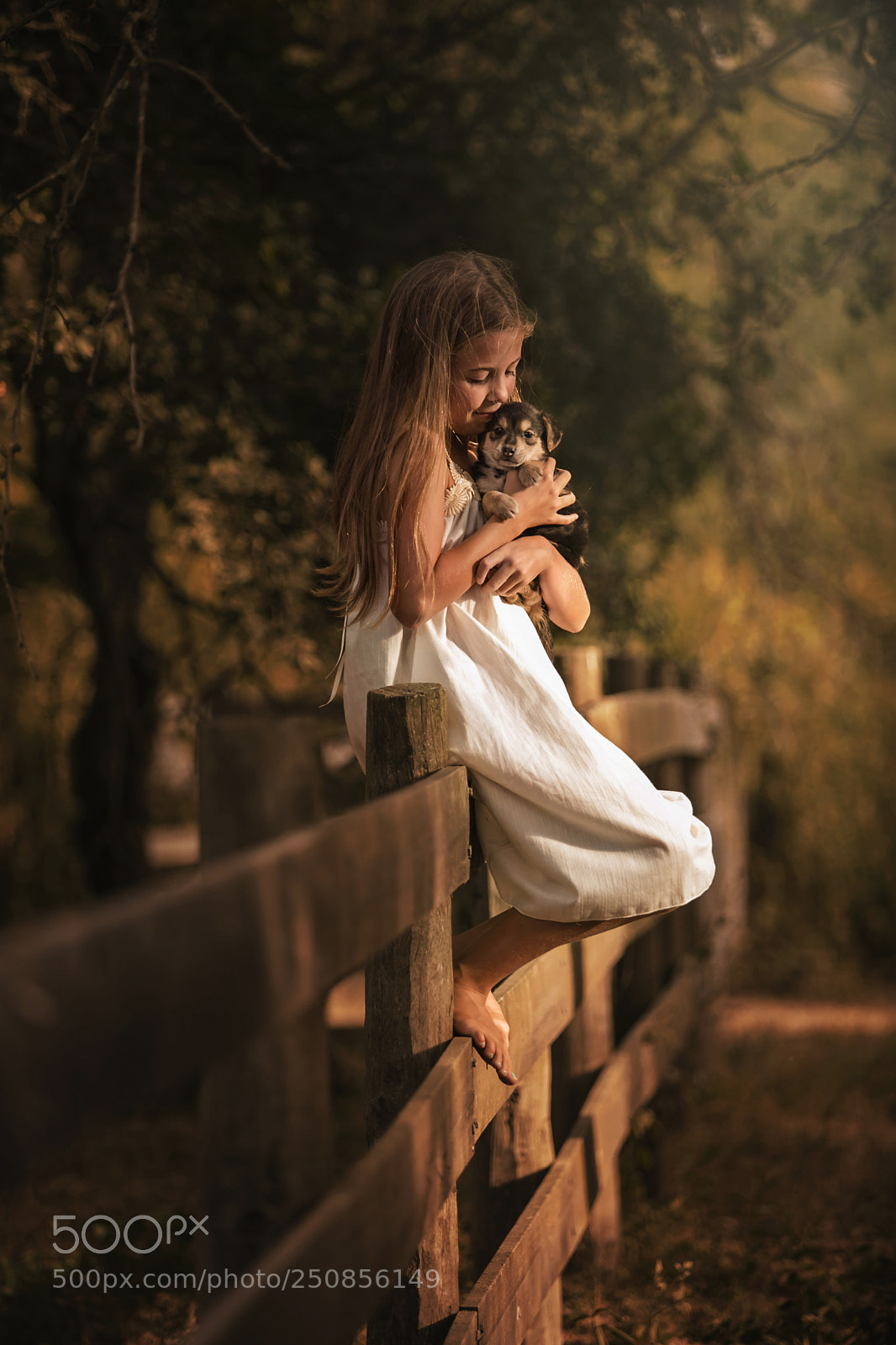 Canon EOS 5DS R sample photo. Caricias y mimos alalma photography
