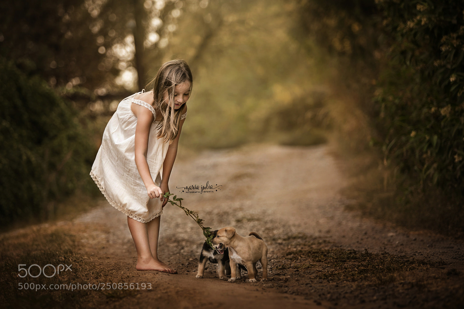 Canon EOS 5DS R sample photo. Juegos de la infancia photography