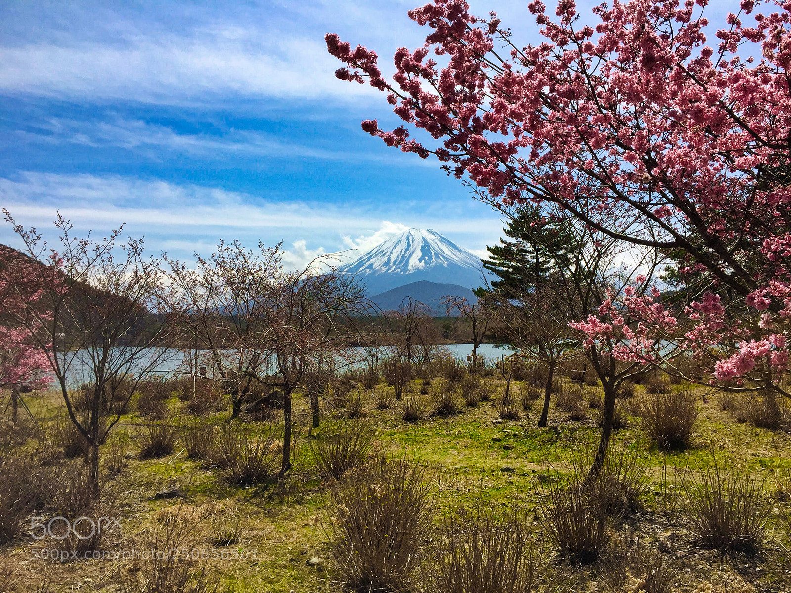 Apple iPhone 6 Plus sample photo. Mt. fuji photography
