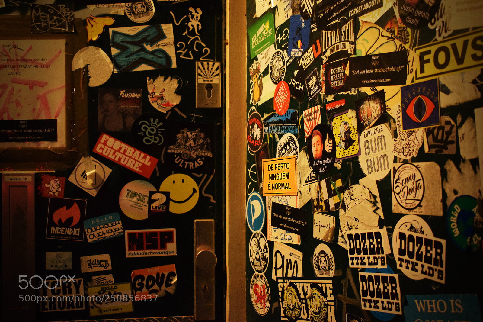Nikon D3300 sample photo. De perto ningu m photography