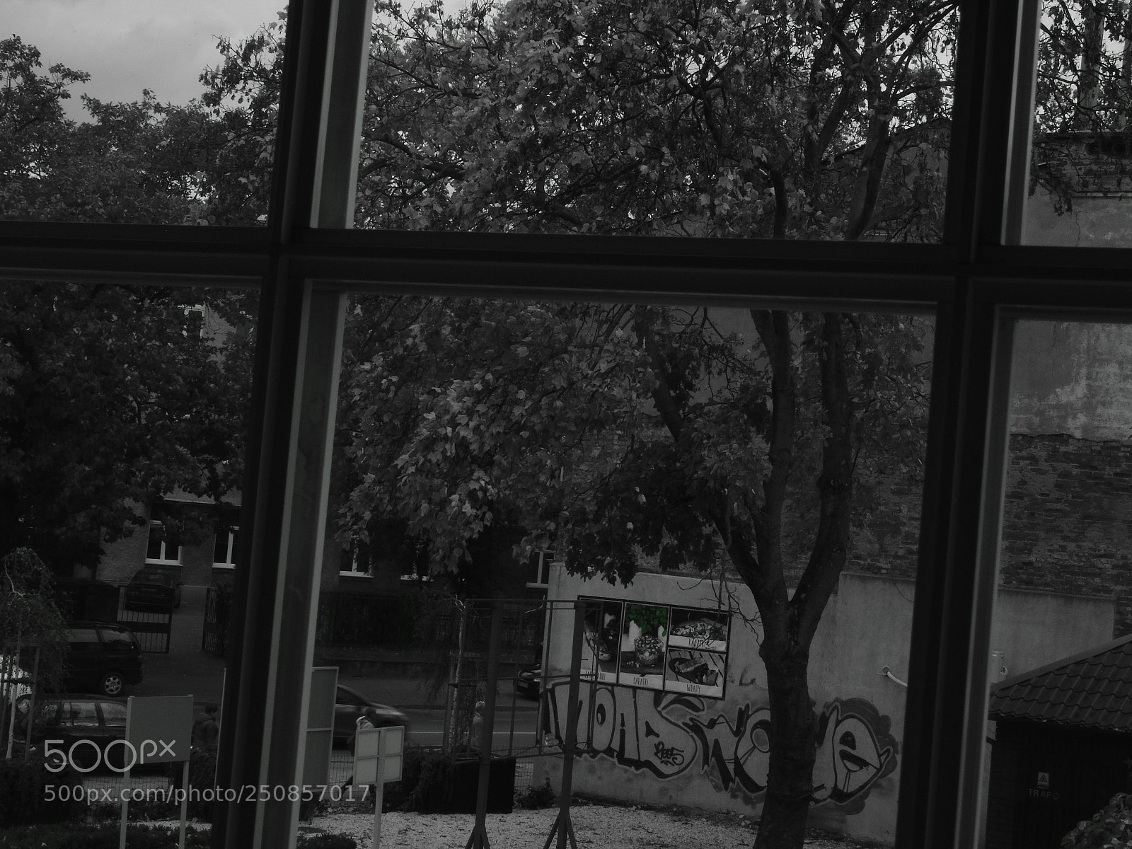 Sony Cyber-shot DSC-H400 sample photo. Untitled photography