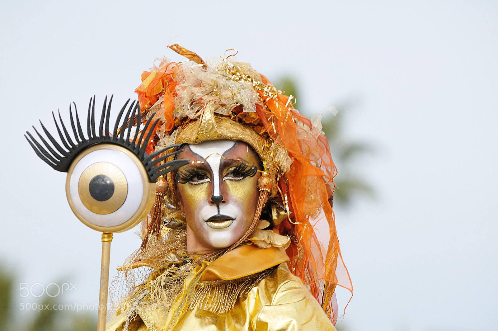 Nikon D300S sample photo. He eye dsc photography