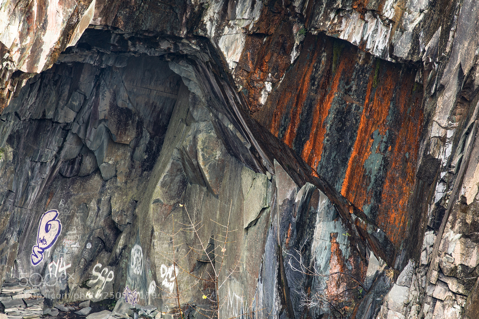 Canon EOS 5D Mark IV sample photo. Graffiti vs nature's colours photography