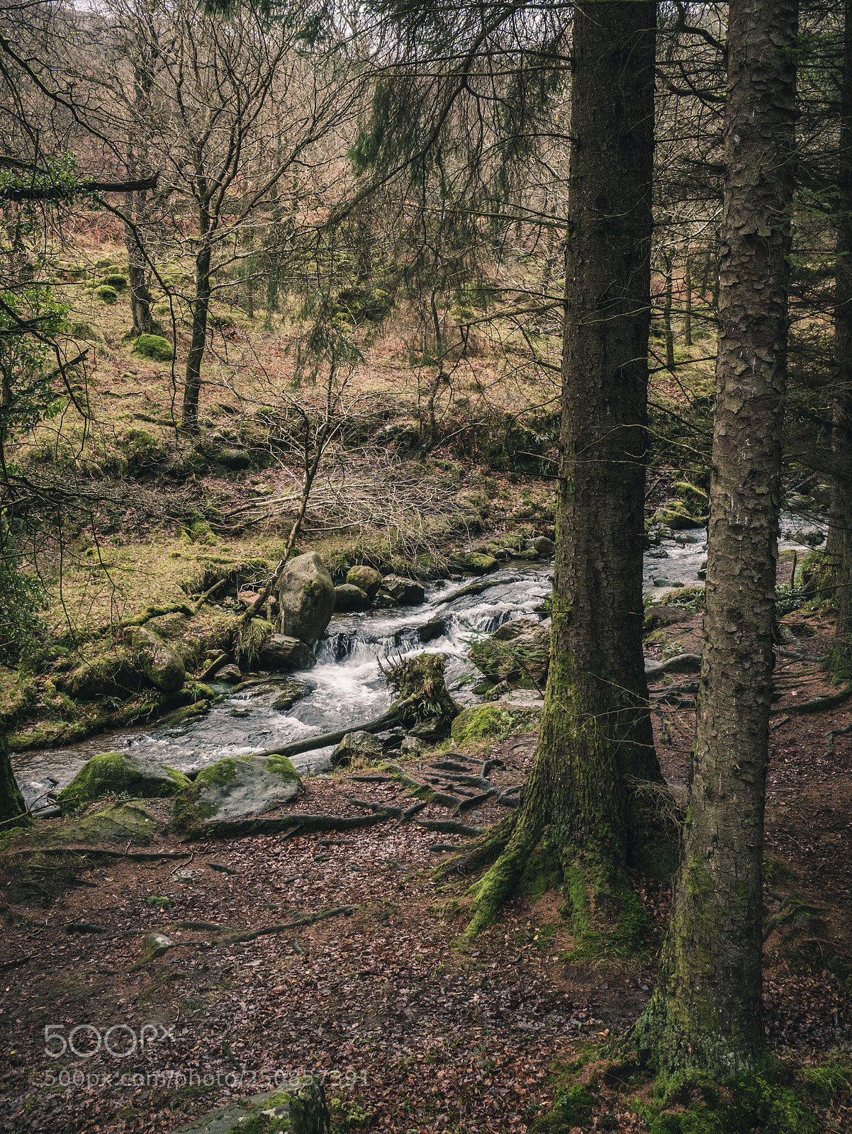 Panasonic Lumix DMC-G85 (Lumix DMC-G80) sample photo. Wicklow photography