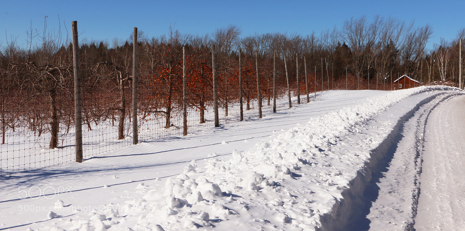 Canon EOS 70D sample photo. Road apples photography