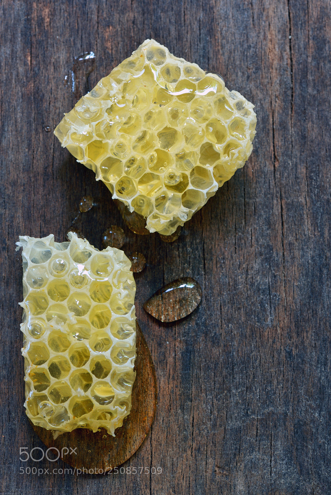 Nikon D610 sample photo. Honeycomb on a vintage photography