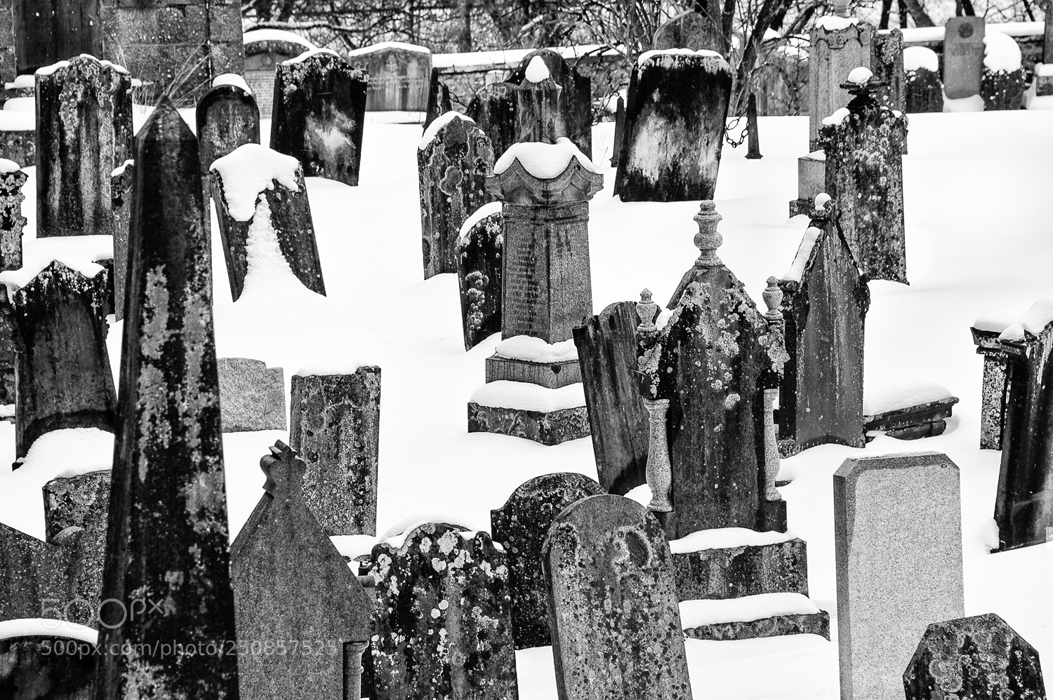 Nikon D700 sample photo. Mortlach graveyard photography