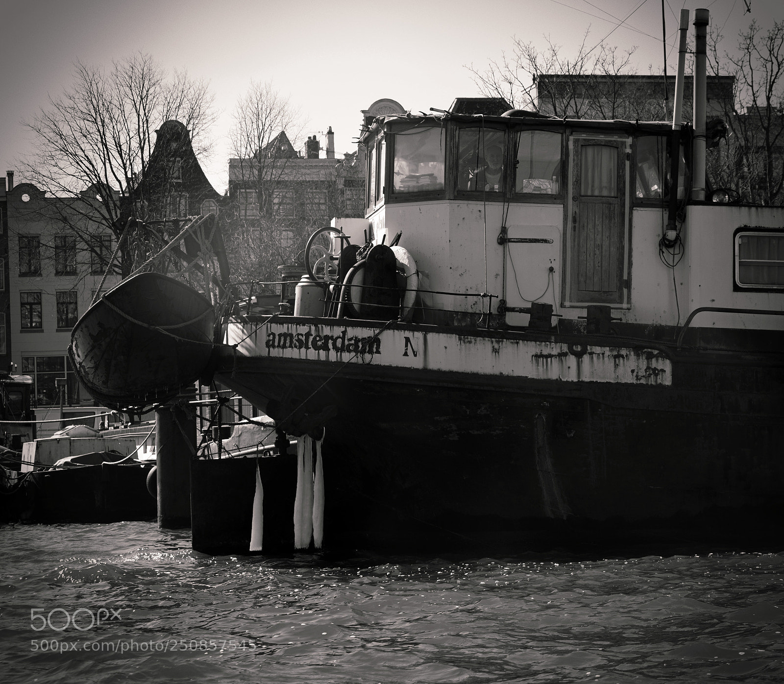 Nikon D3300 sample photo. The forgotten aristocrat in photography
