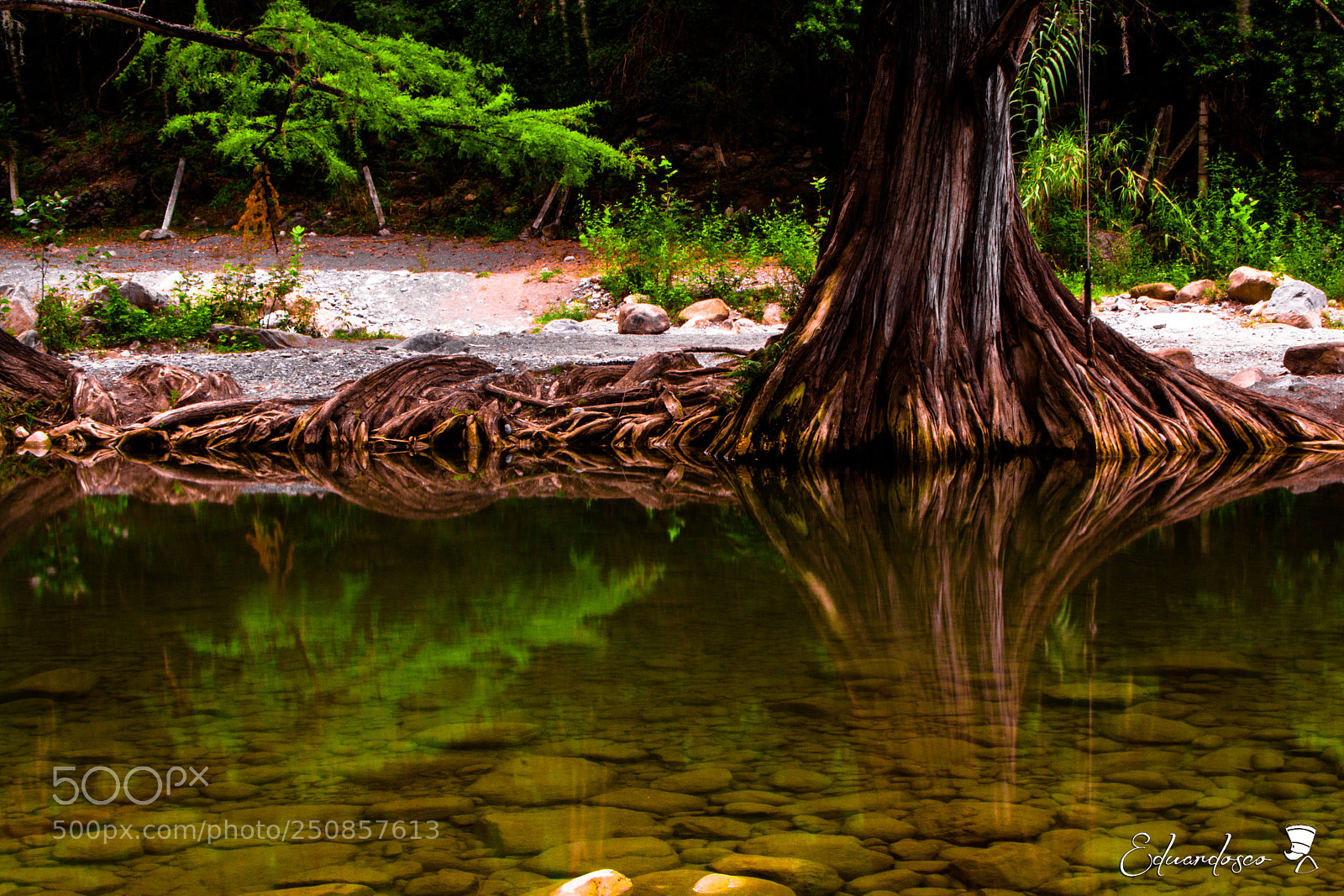 Nikon D7100 sample photo. Reflejos photography