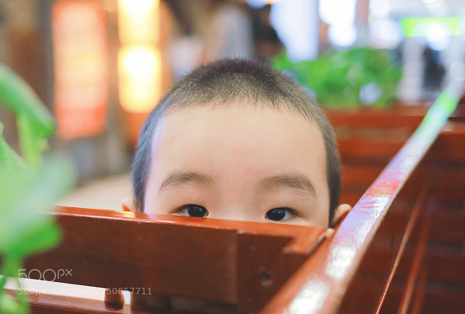 Canon EOS 6D Mark II sample photo. Untitled photography