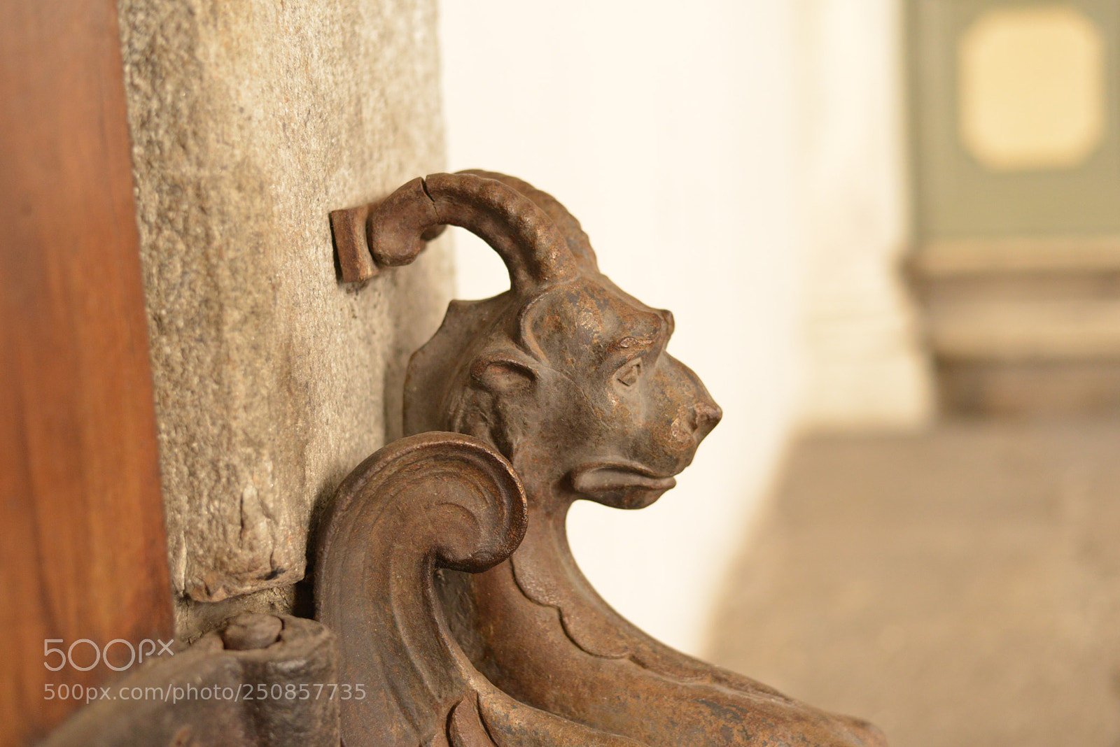 Nikon D800 sample photo. Untitled photography