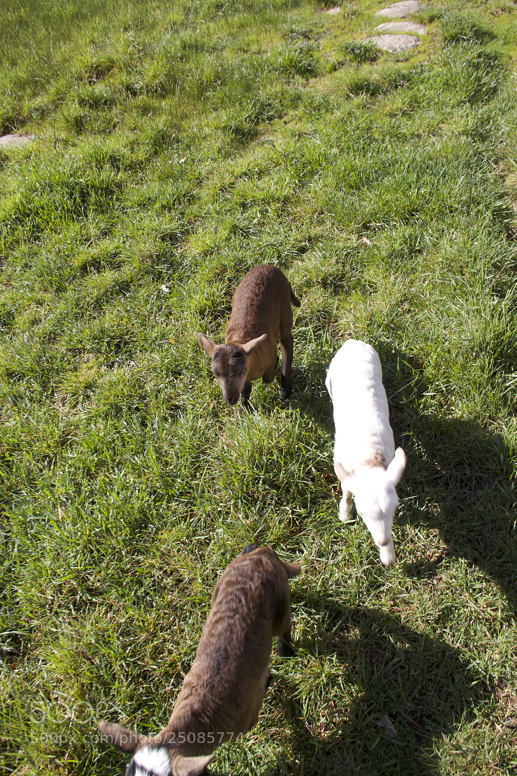 Canon EOS 60D sample photo. Img photography