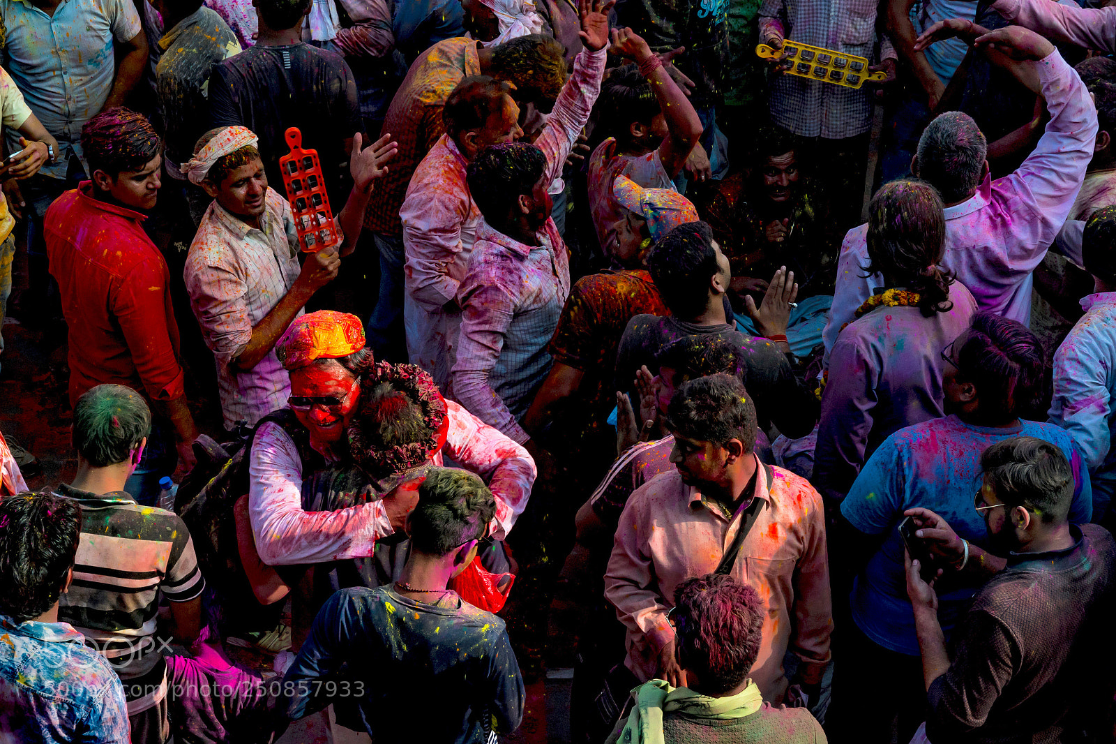 Nikon D500 sample photo. Friendship colours photography
