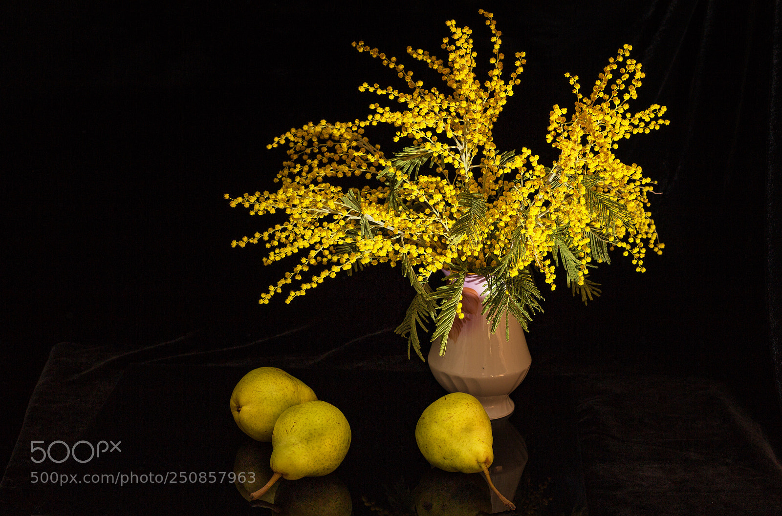 Canon EOS 600D (Rebel EOS T3i / EOS Kiss X5) sample photo. Flowers end pears photography