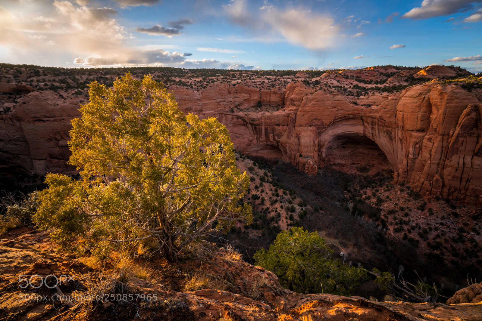 Sony a7R II sample photo. Navajo national monument photography