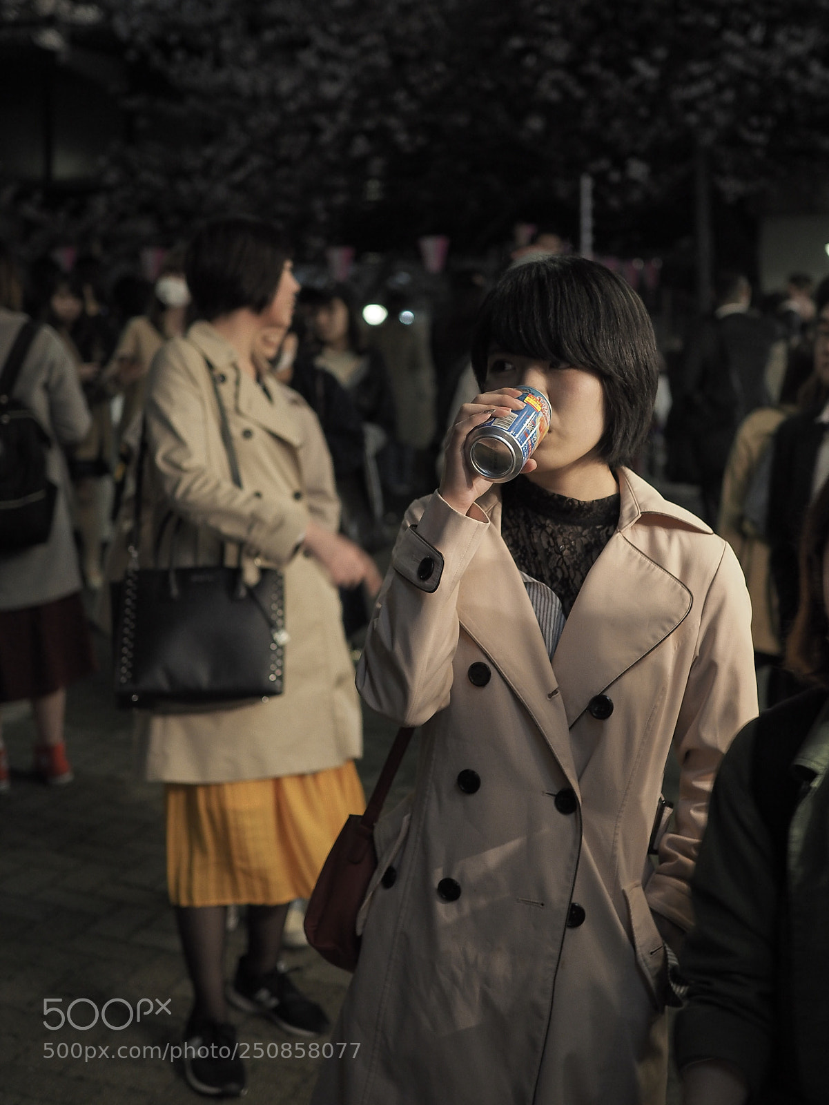 Olympus OM-D E-M10 sample photo. Meguro river photography
