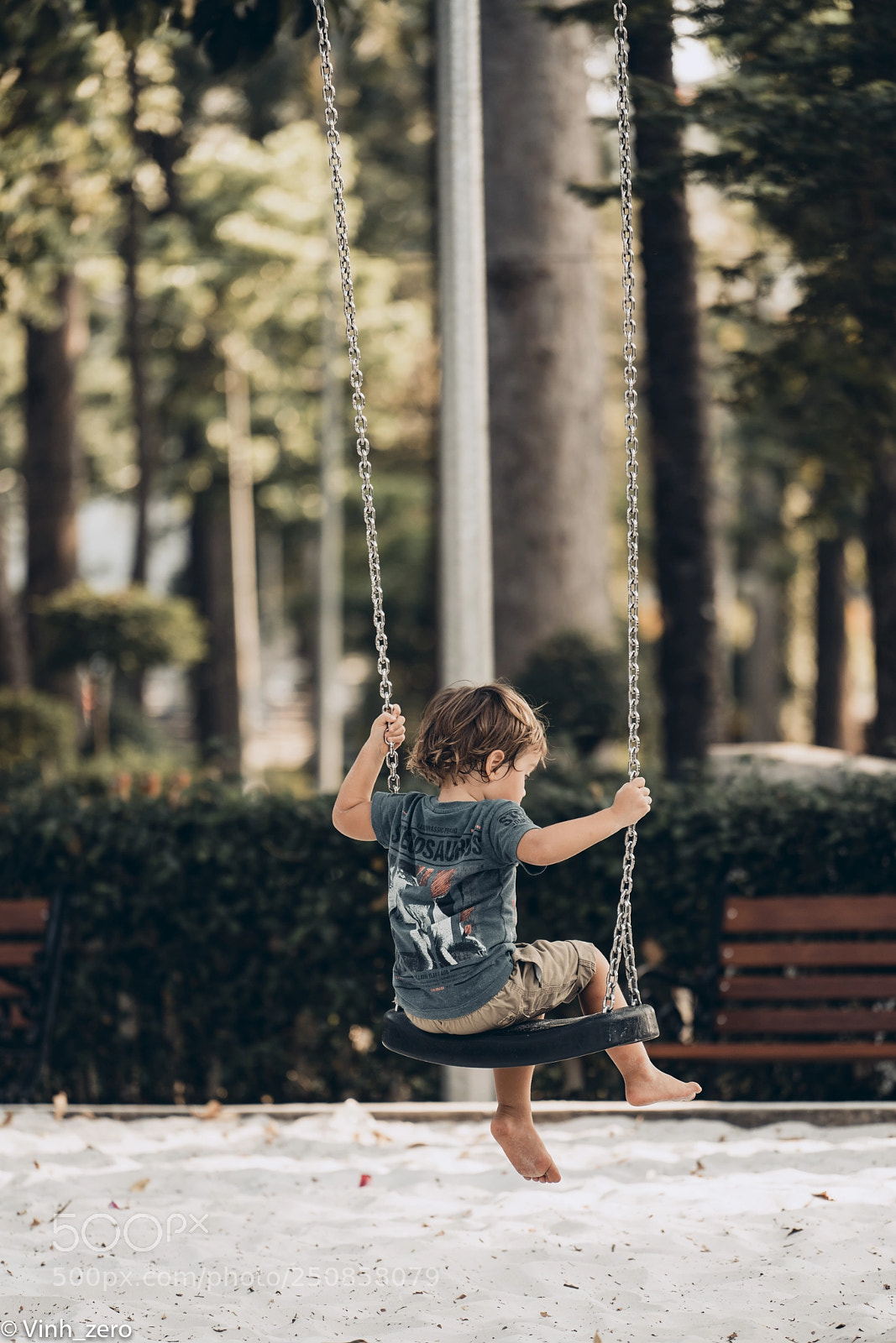 Sony a7R II sample photo. Dsc photography