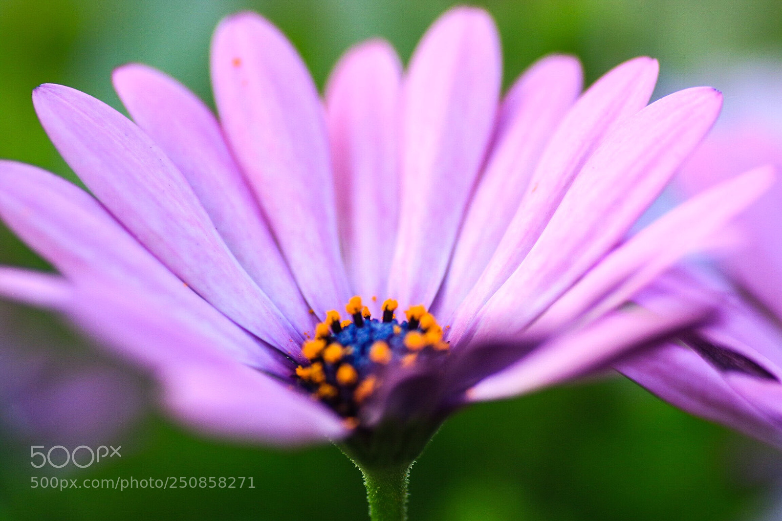 Canon EOS M3 sample photo. Untitled photography