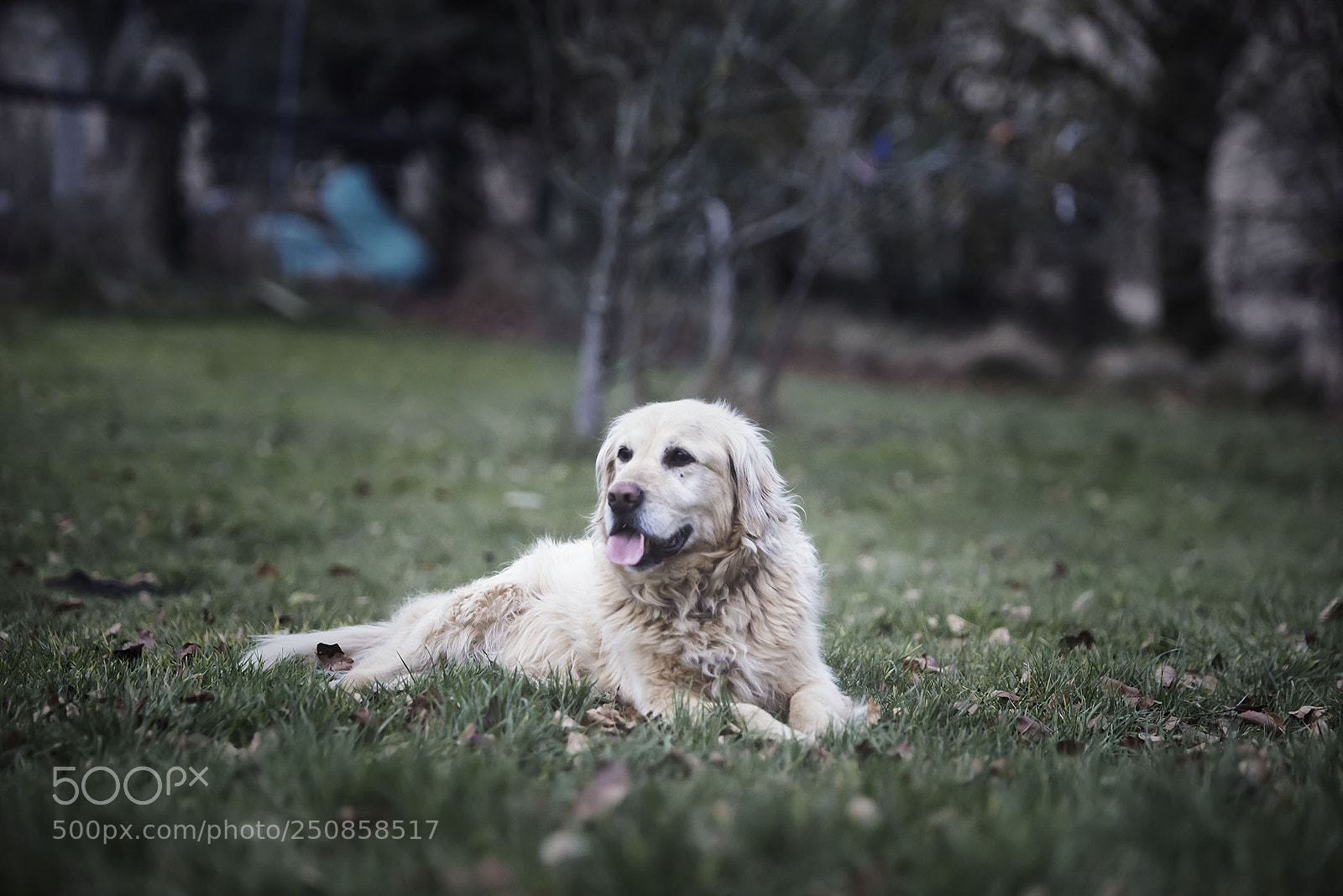 Nikon D800 sample photo. Edit photography