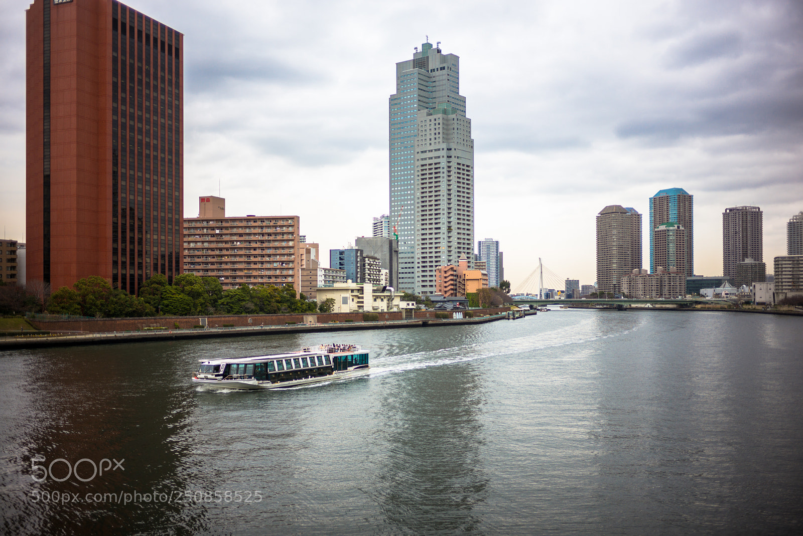 Leica M (Typ 240) sample photo. River sumida photography