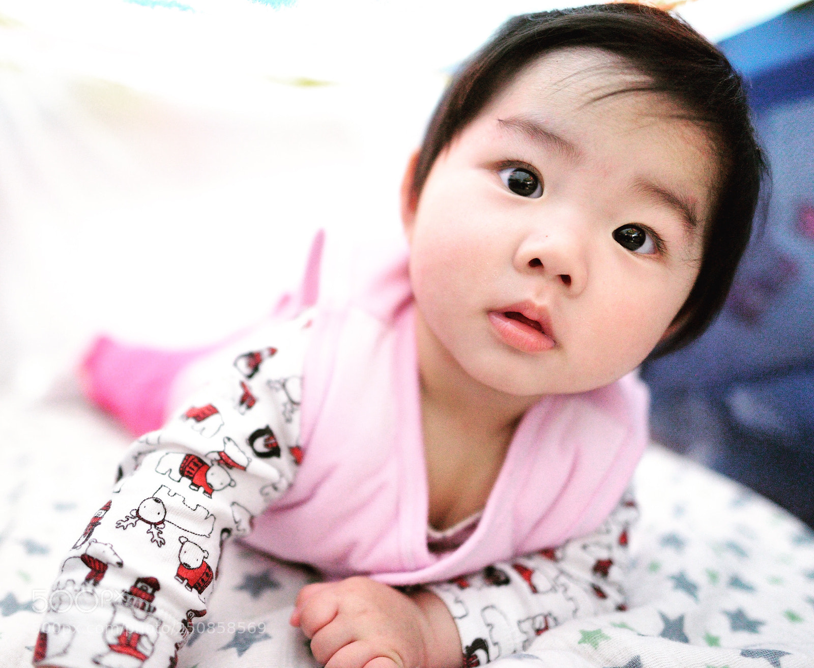 Nikon D800 sample photo. Untitled photography