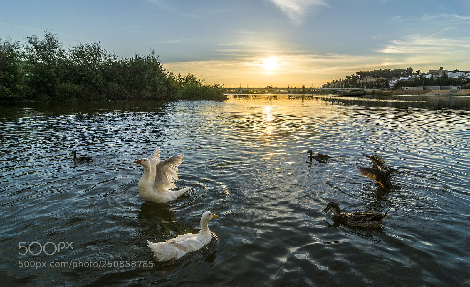 Nikon D7100 sample photo. A new sunrise. photography
