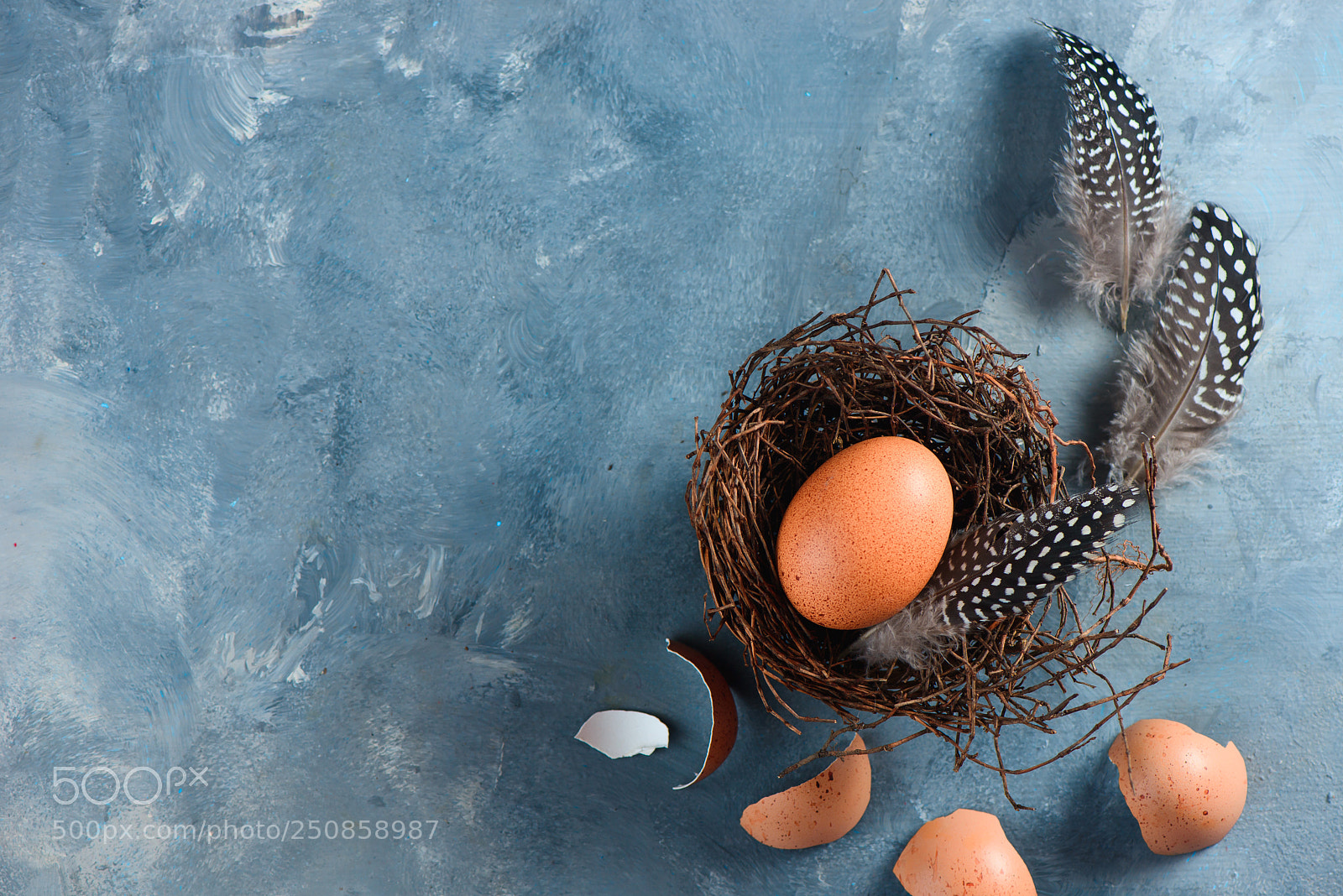 Nikon D800 sample photo. Fresh chicken eggs in photography