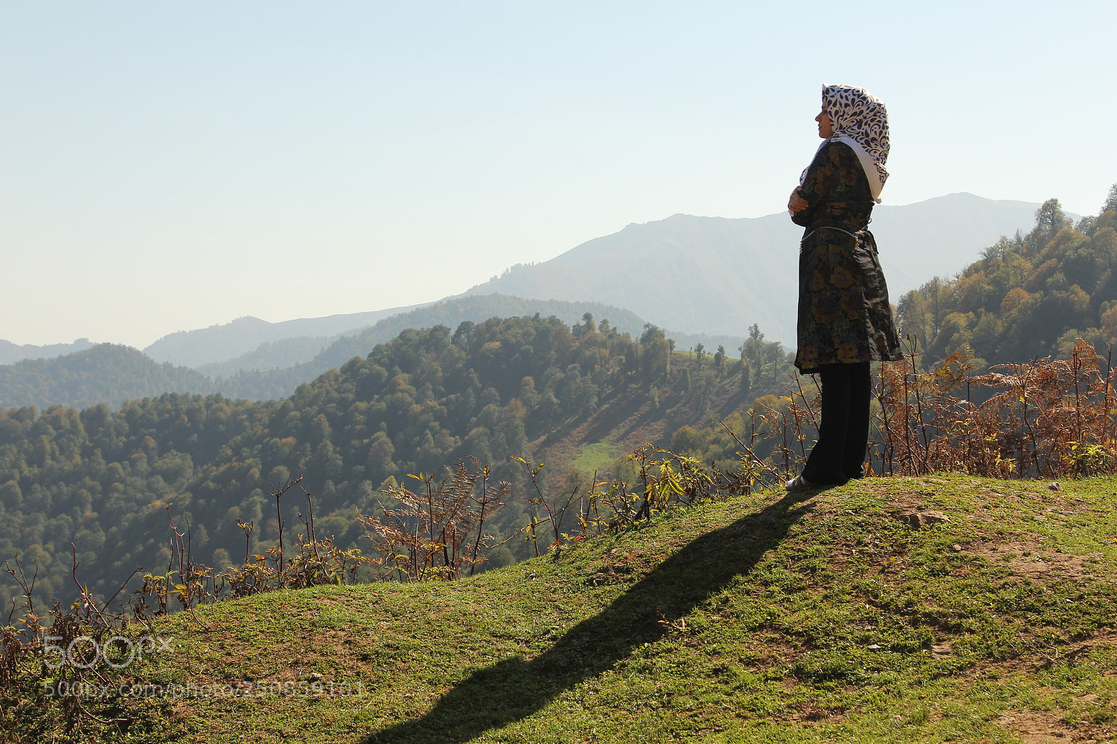 Canon EOS 60D + Canon EF 24-105mm F4L IS USM sample photo. Untitled photography