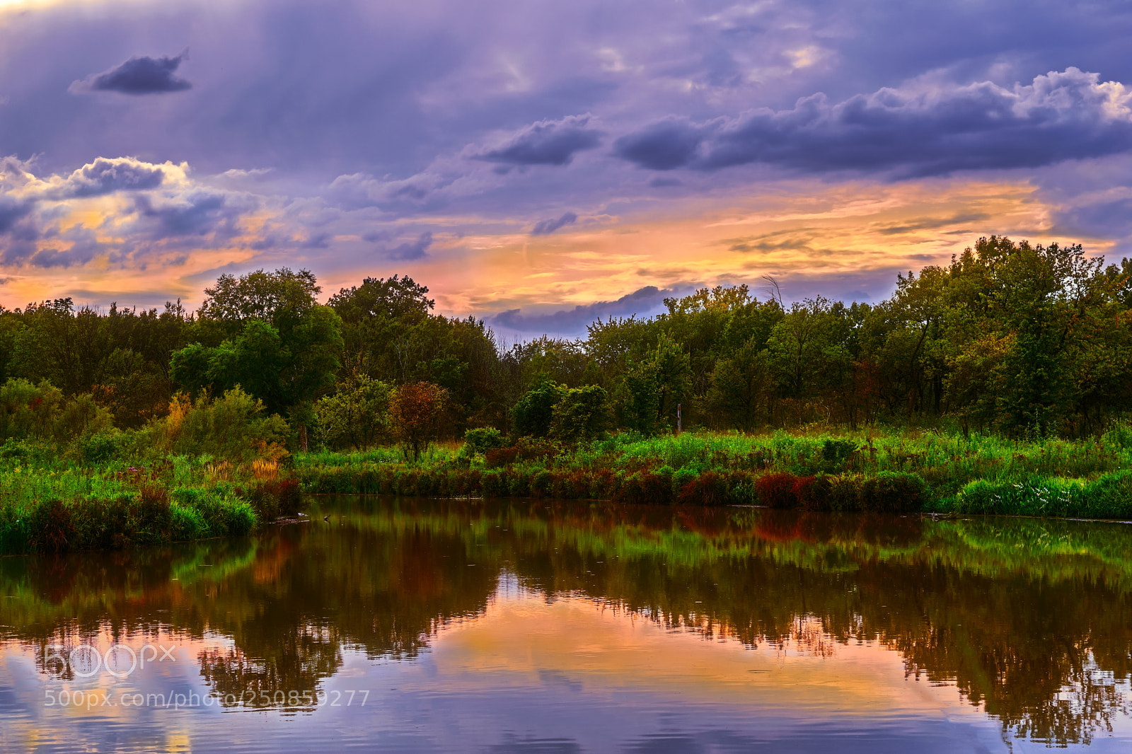 Nikon D5300 sample photo. Early autumn photography