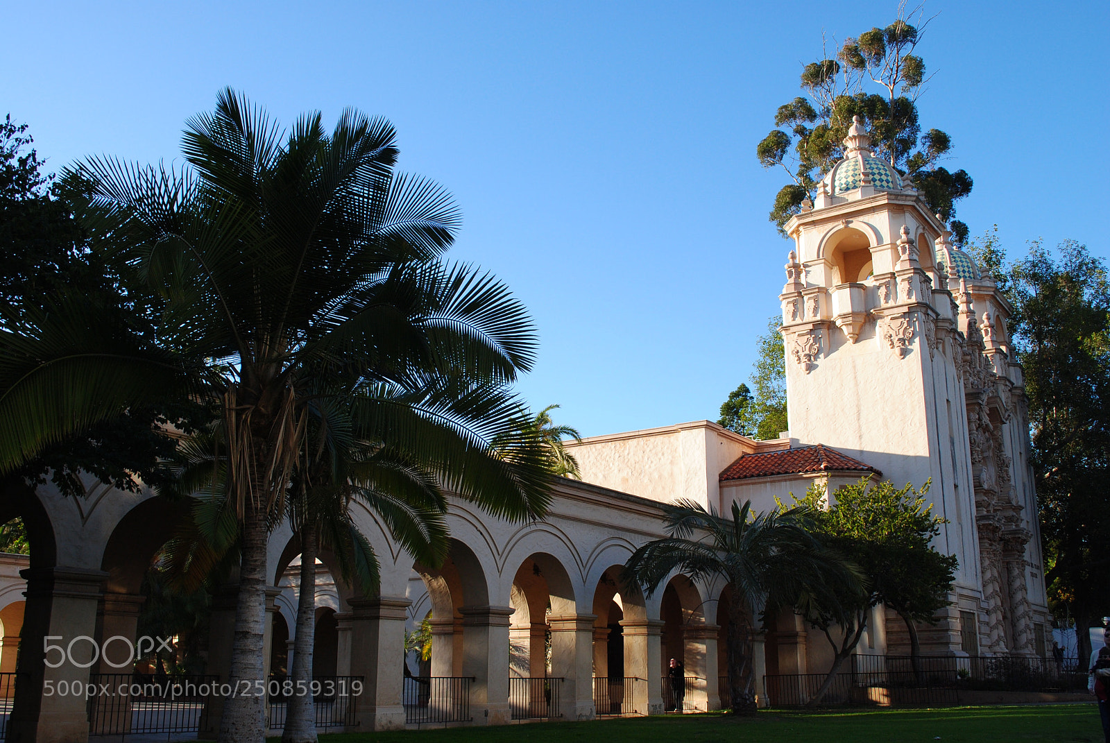 Nikon D3000 sample photo. Balboa park photography