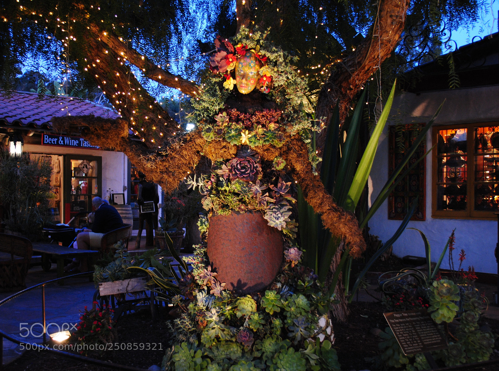 Nikon D3000 sample photo. Night photography