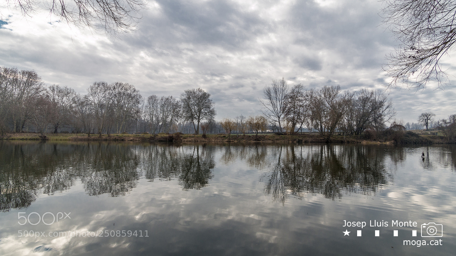 Canon EOS 70D sample photo. Manlleu photography