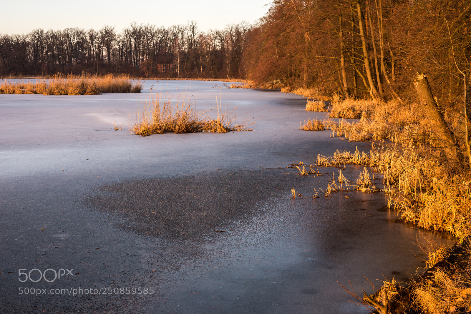 Nikon D610 sample photo. * * * photography