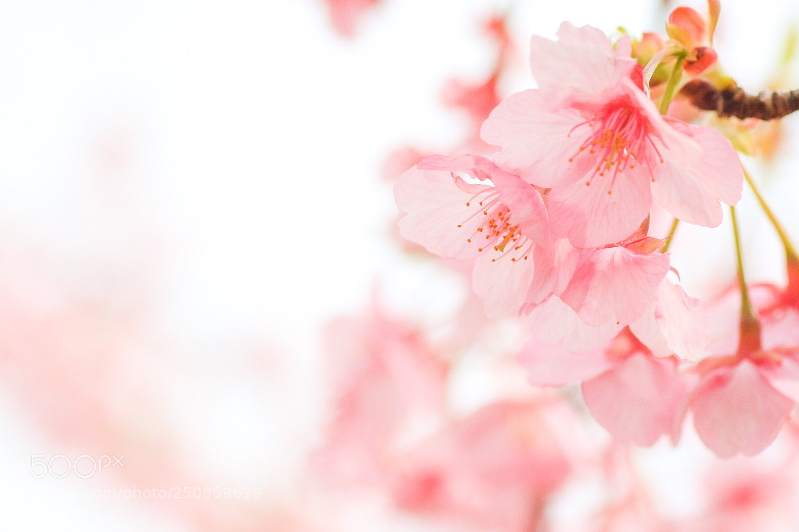 Canon EOS M3 sample photo. Untitled photography