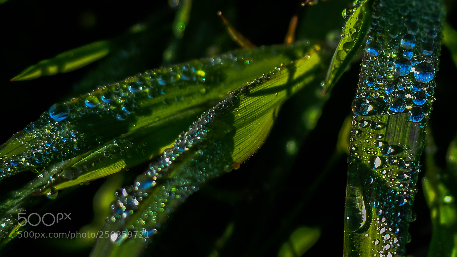 Nikon D7000 sample photo. Early morning photography