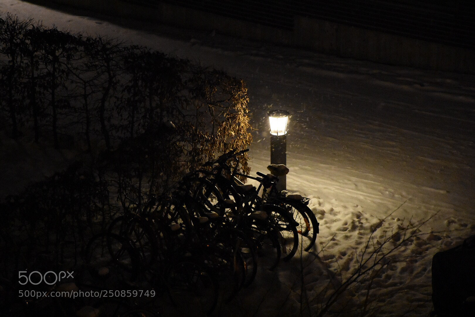Nikon D7200 sample photo. Untitled photography
