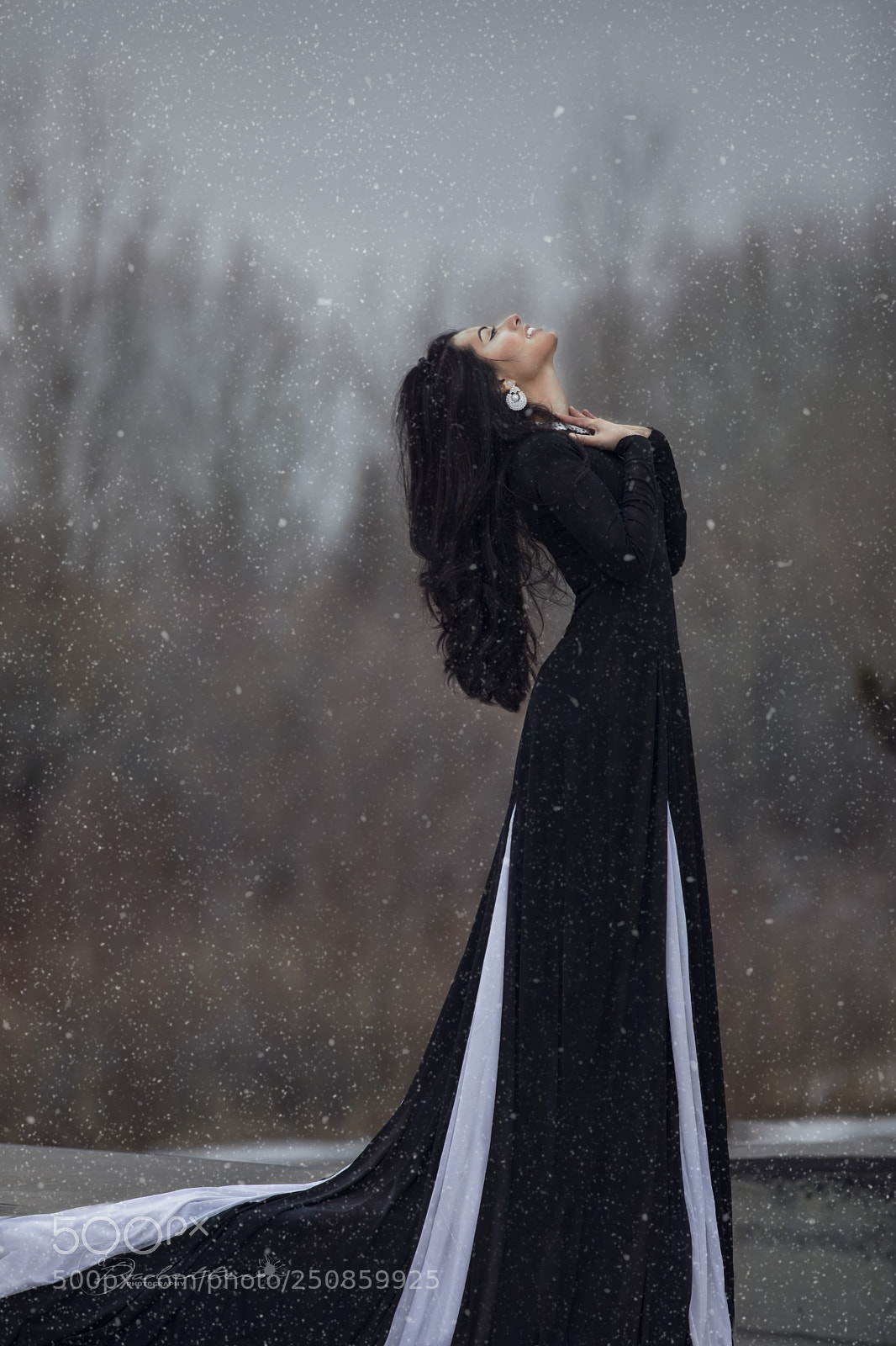 Canon EOS 5D Mark IV sample photo. Grace in the snow photography