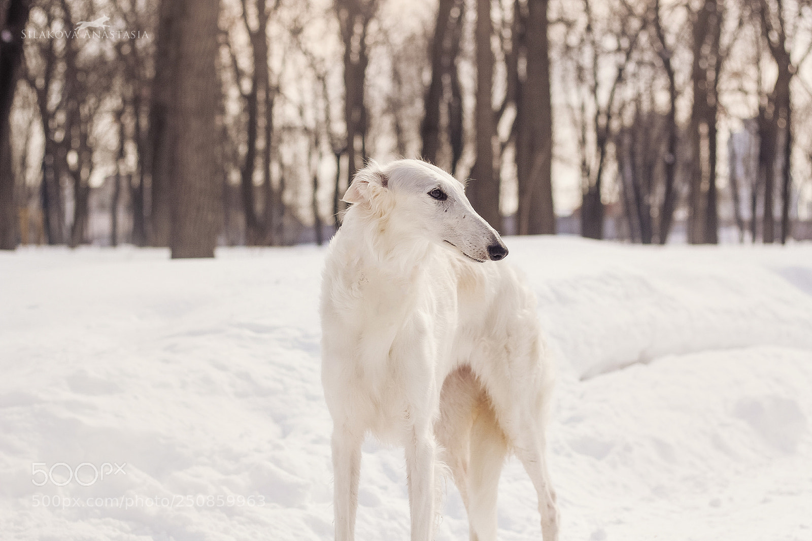 Canon EOS 60D sample photo. Russian beauty photography
