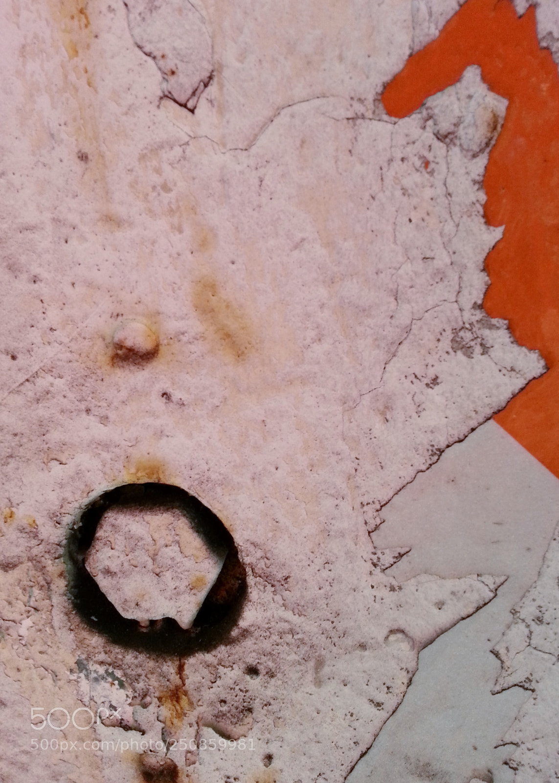 Samsung Galaxy S3 sample photo. Missing link photography